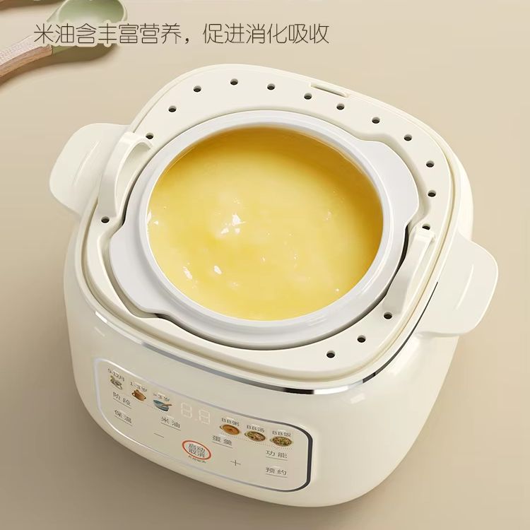Multifunctional ceramic electr - Baby Food Stew recensione e prezzo