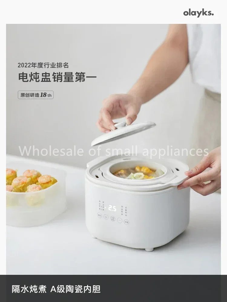 220V Small Electric Cooker, Ba - Baby Food Stew recensione e prezzo