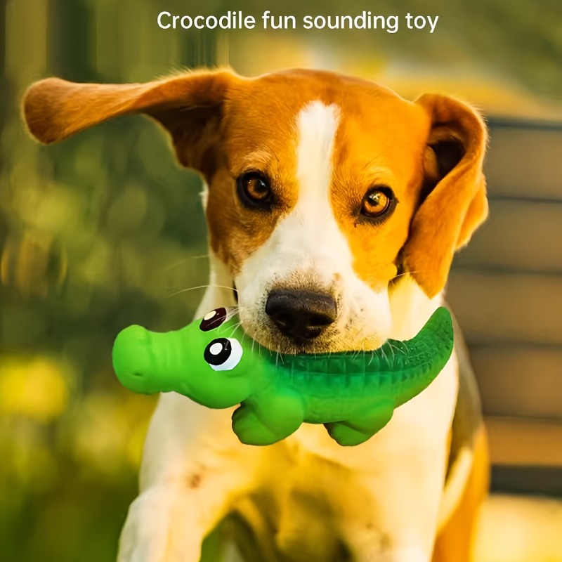 Durable Latex Chew Toy for Agg - Baby Food Weaning recensione e prezzo