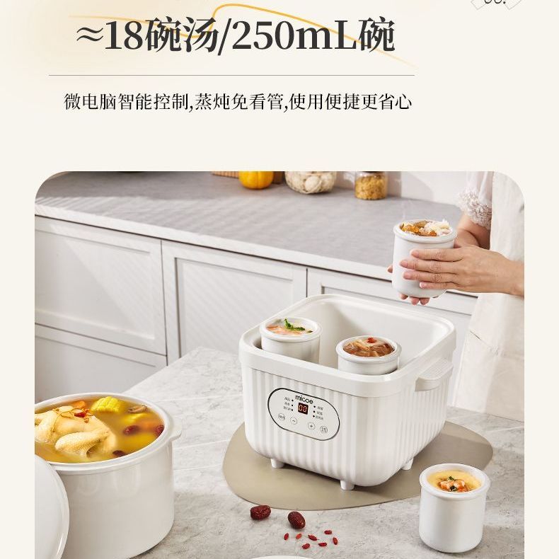 Household Ceramic Electric Ste - Baby Food Stew recensione e prezzo