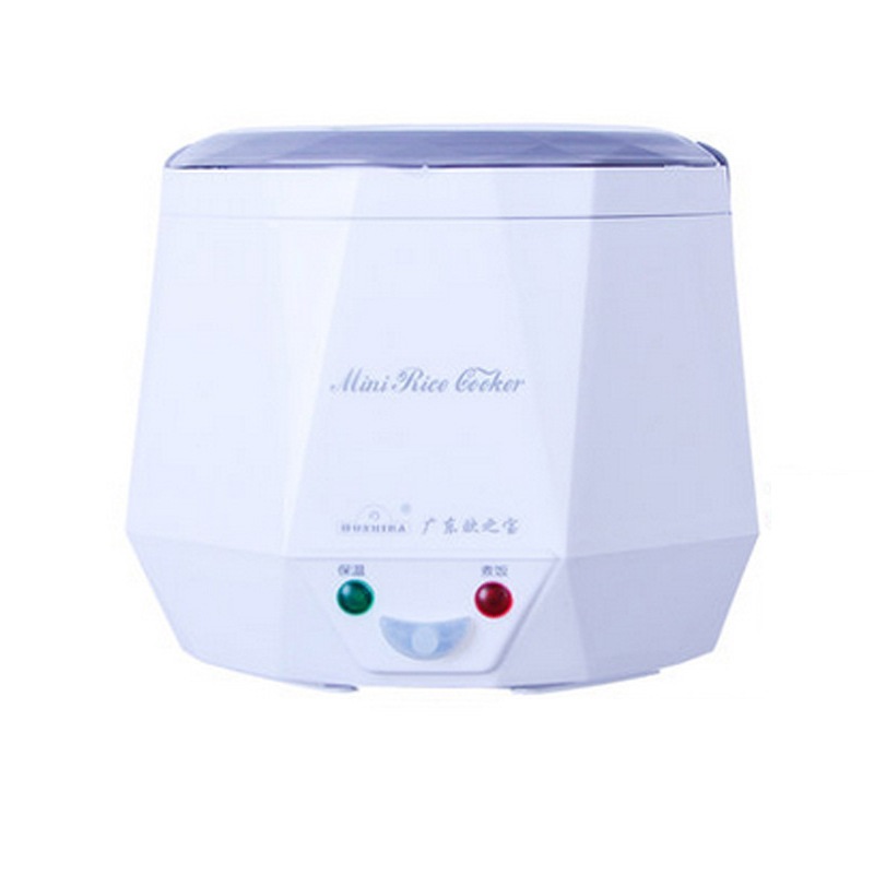 DC12V/DC24V/AC220V 100W POWER  - Baby Food Stew recensione e prezzo