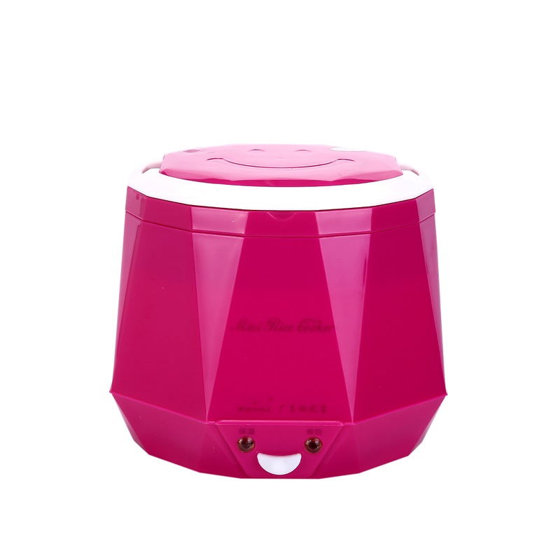DC12V/DC24V/AC220V 100W POWER  - Baby Food Stew recensione e prezzo