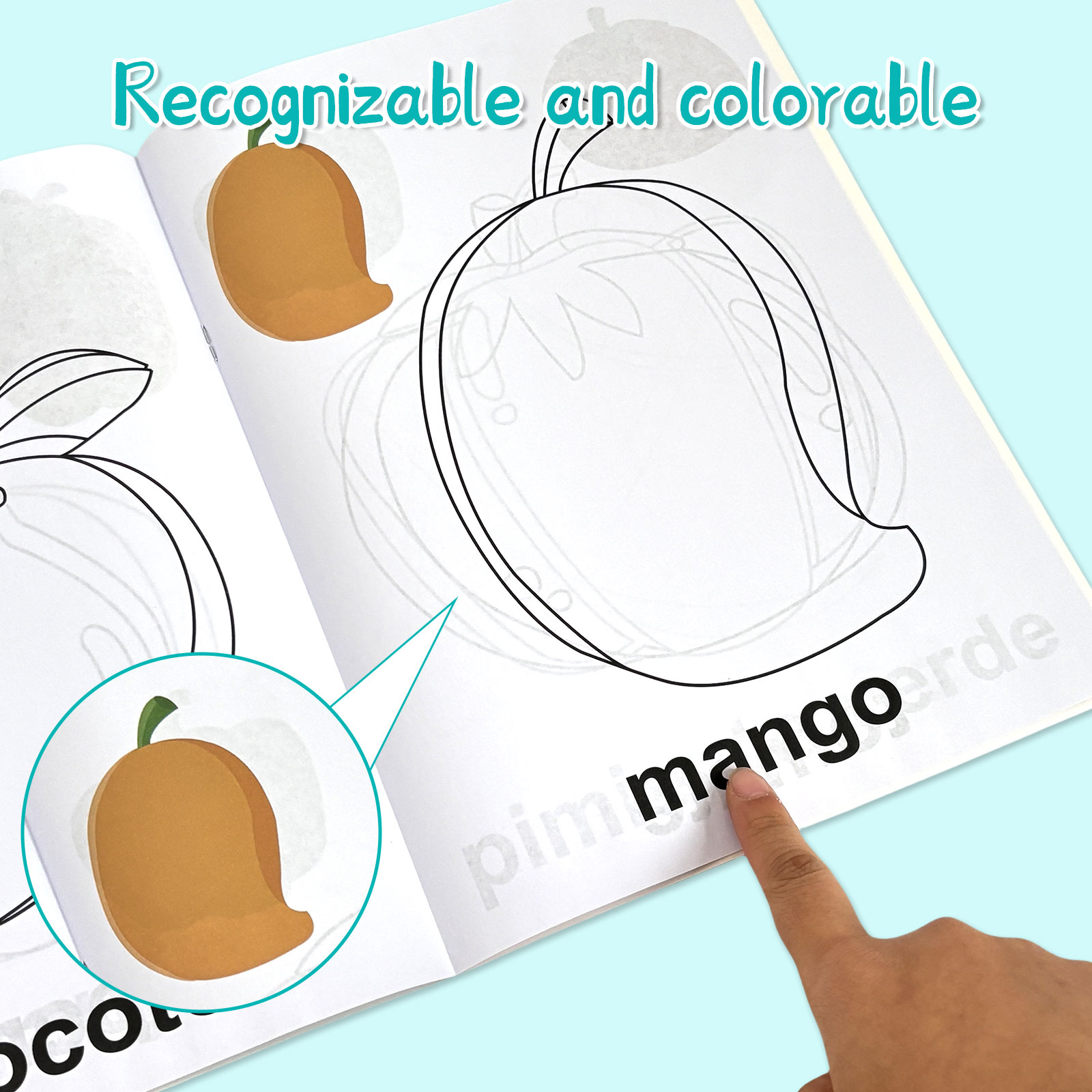 4 Pack Spanish Vocabulary Colo - Baby Food Year Old recensione e prezzo