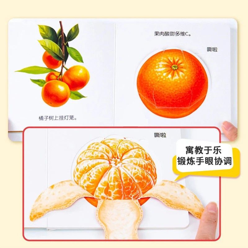 Infant Food Education Flipbook - Baby Food Year Old recensione e prezzo
