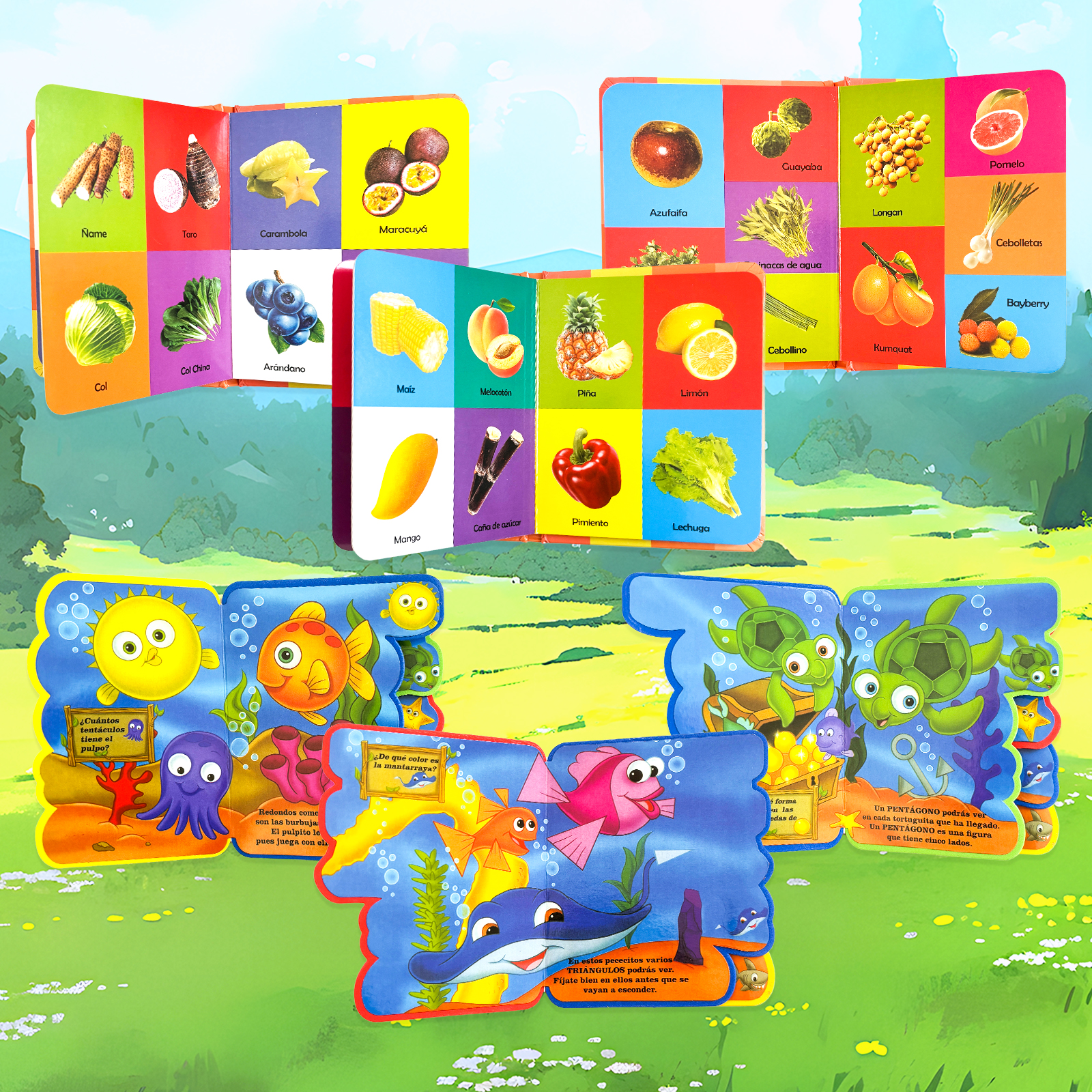 1 Set 2 Pieces Sponge Enlighte - Baby Food Year Old recensione e prezzo