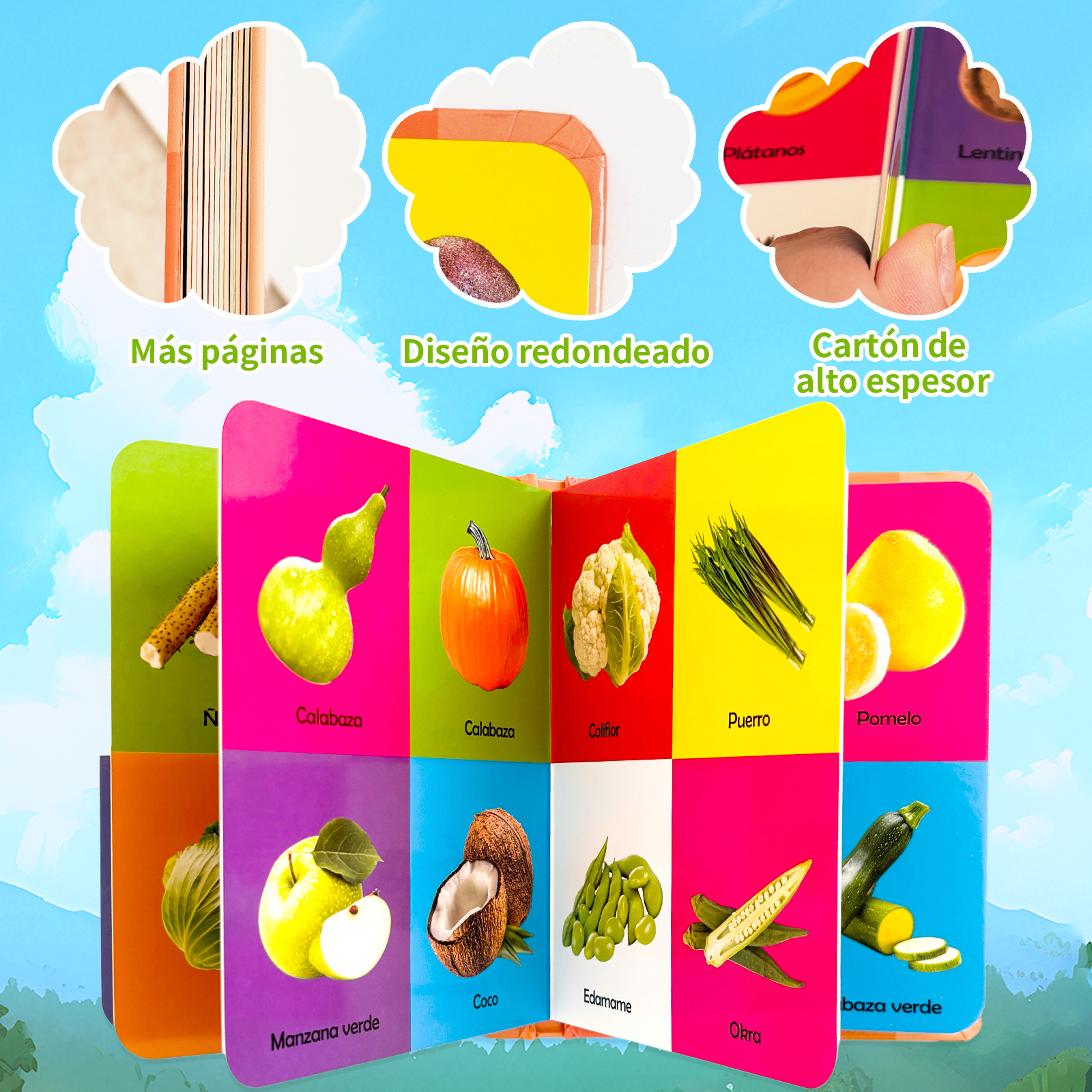 1 Set 2 Pieces Sponge Enlighte - Baby Food Year Old recensione e prezzo